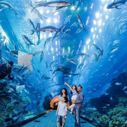 Aquarium