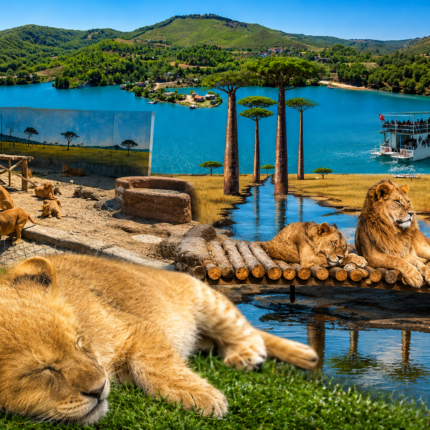 Green canyon safari from Alanya - Side - Antalya