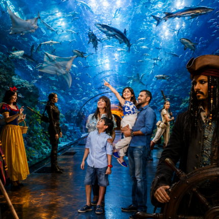 Aquarium from Alanya - Side - Antalya