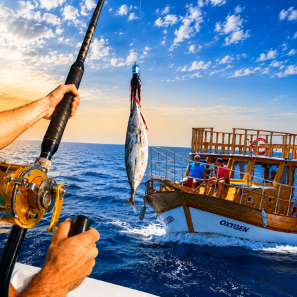 Fishing in Alanya from Alanya - Side