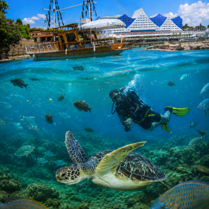 Diving from Alanya - Side