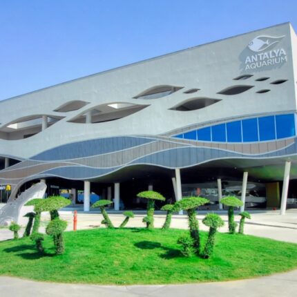 Antalya Aquarium Tour From Alanya