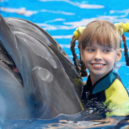 Swim with dolphins in Alanya