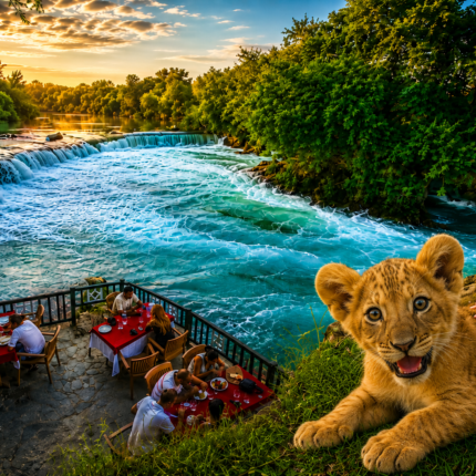 VIP Lion Park & Manavgat Waterfall Tour from Alanya & Side